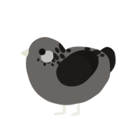 A grey and sable chicken with a neck-speckle pattern