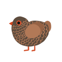 A bark and brown chicken with a lace pattern