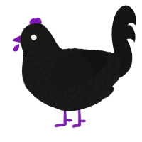 Black Hole, a sable and black chicken with a lace pattern