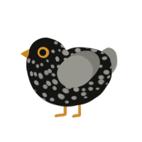 A black and ash chicken with a speckle pattern