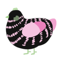 A black and pink chicken with a bar pattern