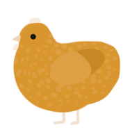 A orange chicken with a speckle pattern