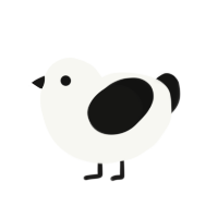 A white and black chicken
