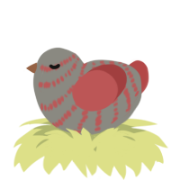 A ash and red chicken with a bar pattern