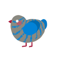 A ash and sapphire chicken with a bar pattern