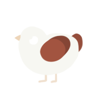 A white and russet chicken