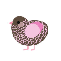 A bark and pink chicken with a lace pattern