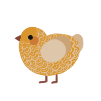 A orange and beige chicken with a double-lace pattern