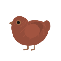 A russet chicken with a half-bar pattern
