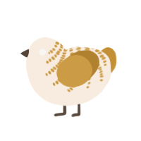A cream and gold chicken with a half-bar pattern