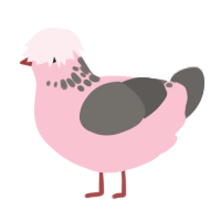 Silver, a rose and grey chicken with a neck-speckle pattern