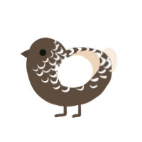 A bark and cream chicken with a half-lace pattern