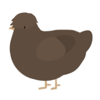A bark chicken