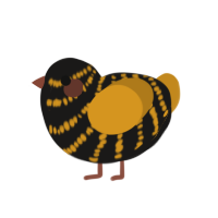 A sable and ochre chicken with a bar pattern