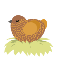 A brown and orange chicken with a lace pattern