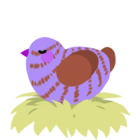 A lilac and russet chicken with a bar pattern