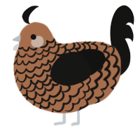 Cold Brew, a brown and black chicken with a lace pattern