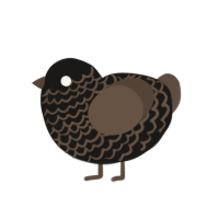 A sable and bark chicken with a lace pattern