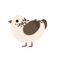 A cream and bark chicken with a neck-speckle pattern