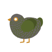 A grey and olive chicken with a lace pattern