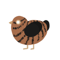 A brown and sable chicken with a bar pattern
