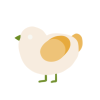 A cream and honey chicken