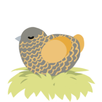 A ash and honey chicken with a lace pattern
