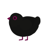 A black chicken with a head pattern