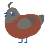 Stormy autumn, a russet and grey chicken with a head pattern