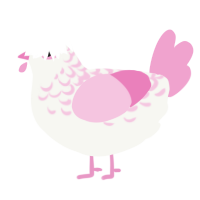 Lambie, a white and pink chicken with a half-lace pattern