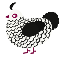 Runway queen, a white and black chicken with a lace pattern