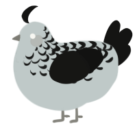 Radio waves, a silver and black chicken with a half-lace pattern