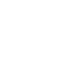 Flashbang, a white chicken with a lace pattern