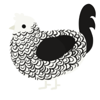 Iron Gate, a white and sable chicken with a double-lace pattern