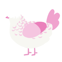 Posie, a white and pink chicken with a half-lace pattern