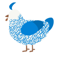 (unnamed), a white and sapphire chicken with a double-lace pattern