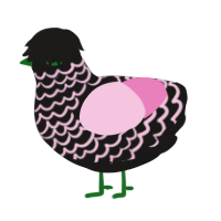 strawberry oreo, a sable and pink chicken with a lace pattern