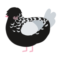 Buck, a sable and mist chicken with a half-lace pattern