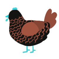 (unnamed), a black and russet chicken with a lace pattern