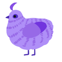 (unnamed), a lilac and blurple chicken with a bar pattern