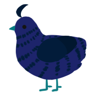 (unnamed), a navy and tumblr chicken with a bar pattern