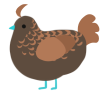 (unnamed), a bark and brown chicken with a half-lace pattern