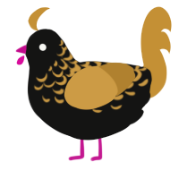 Golden Crest, a black and gold chicken with a half-lace pattern