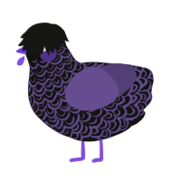 Skillet Fan, a black and overcast chicken with a double-lace pattern