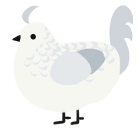 Midwinter, a white and mist chicken with a half-lace pattern