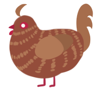 (unnamed), a russet and brown chicken with a bar pattern