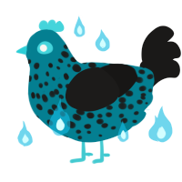 Blue Baby, a sea and sable chicken with a speckle pattern