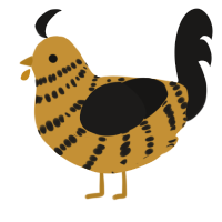 Caramel Crunch, a gold and sable chicken with a bar pattern