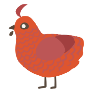 Magmy, a vermilion and red chicken with a lace pattern