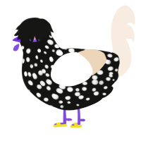 Yamada, a black and cream chicken with a speckle pattern